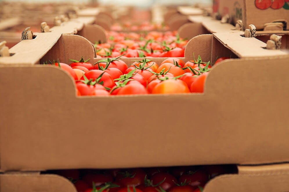 Transporte de alimentos: conheça as normas e técnicas para evitar contaminações