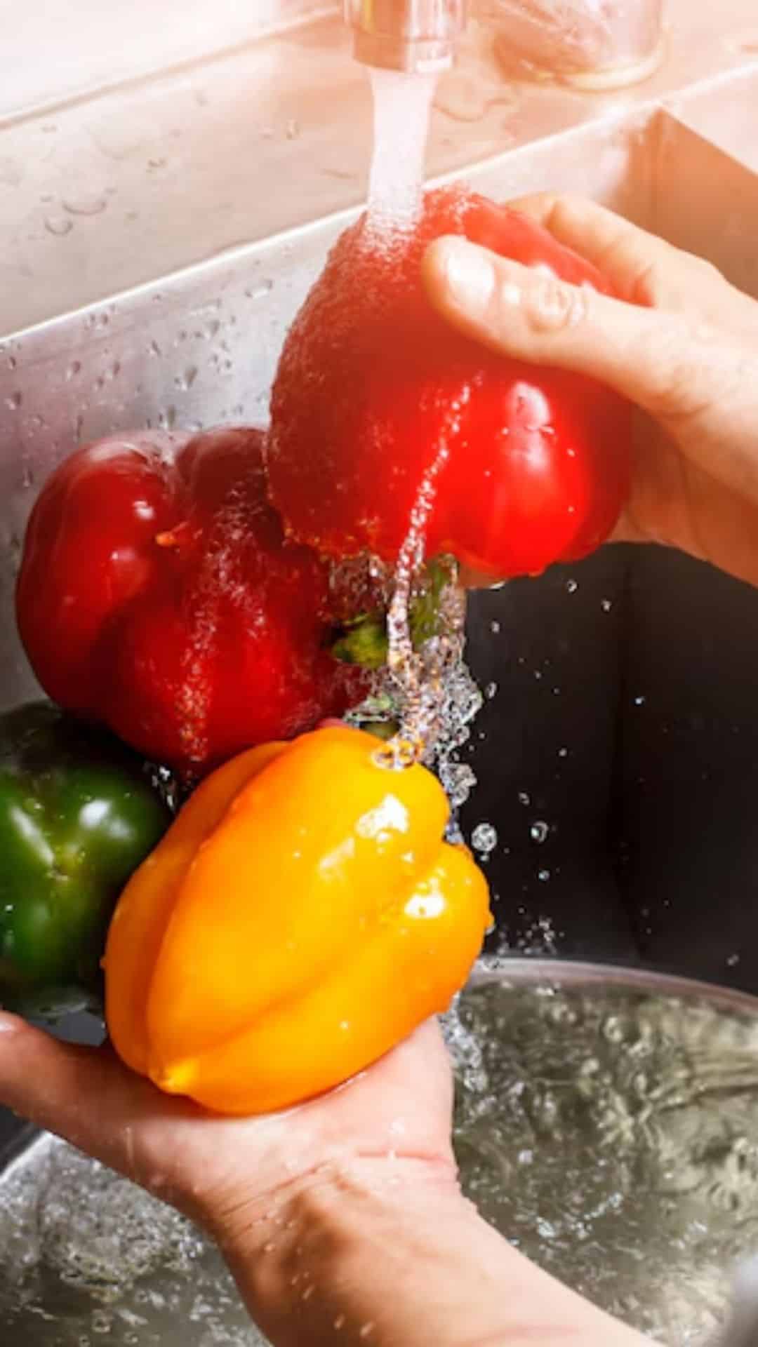 Garanta a Segurança dos Alimentos e Eleve a Qualidade do Seu Negócio!