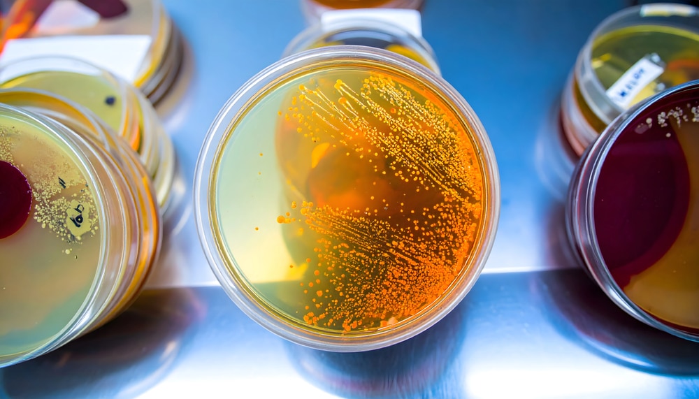Microbiologia