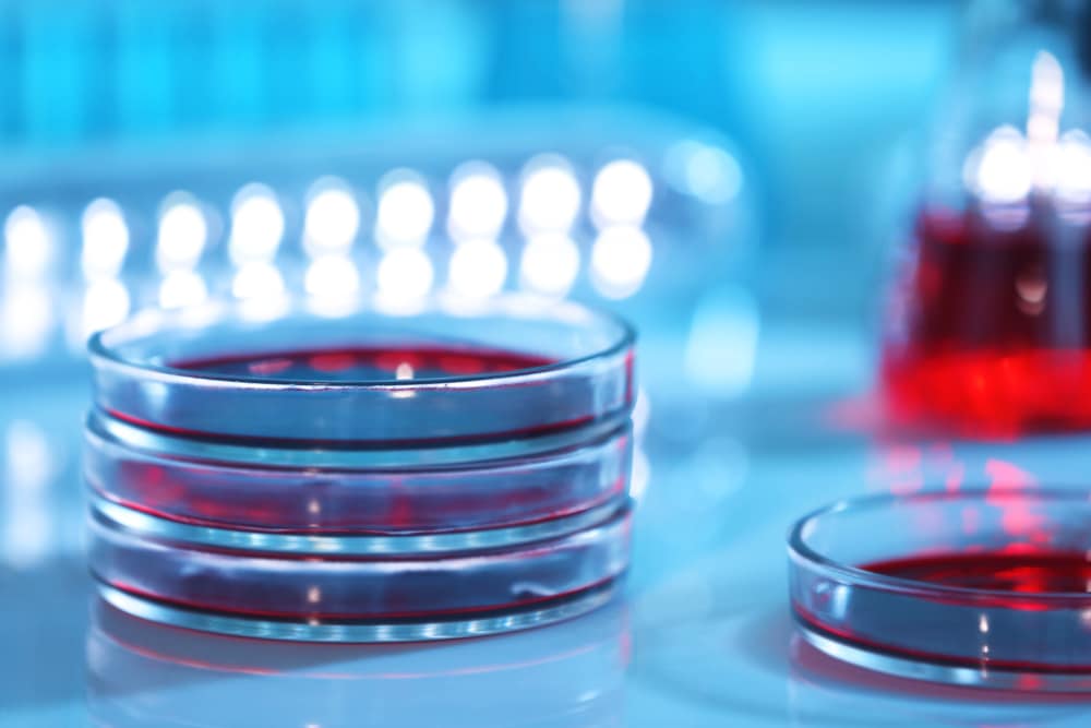 Como A Escolha Do Reagente Afeta A Incerteza E Repetibilidade Em Experimentos